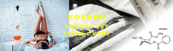 прущие крисы Горняк