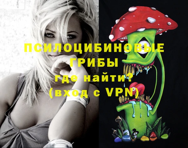 spice Михайловск