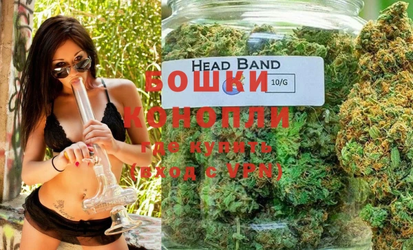 шишки Михайловка