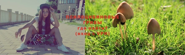 гашик Медногорск