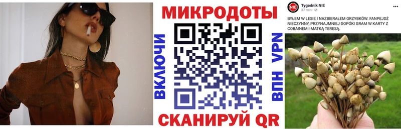 Галлюциногенные грибы GOLDEN TEACHER Нюрба