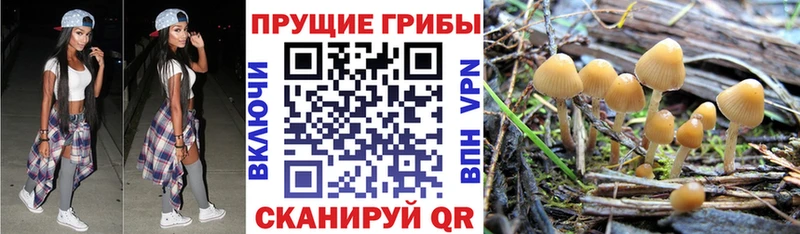 что такое наркотик  Нюрба  Псилоцибиновые грибы Psilocybine cubensis 